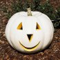 Pumpkin Lumina 100 seeds
