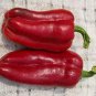 Pepper Costa Rico 250 seeds