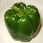 Pepper Big Green 500 seeds