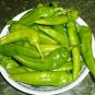 Pepper Hot Anaheim TMR 23 500 seeds
