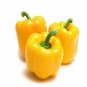 Pepper Bella Yella 250 seeds