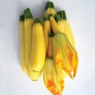 Squash Summer Cube of Butter 100 seeds
