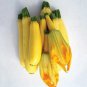 Squash Summer Cube of Butter 100 seeds