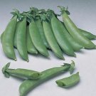 Pea Sugar Sprint 250 seeds