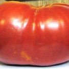 Tomato Big Zac Hybrid 100 seeds
