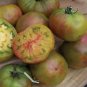 Tomato Black Pineapple 250 seeds