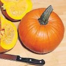 Pumpkin Jack O Lantern 250 seeds