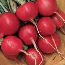 Radish Cherry Belle 500 seeds