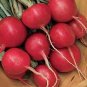 Radish Cherry Belle 500 seeds