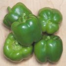 Pepper California Wonder 300 500 seeds