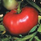 Tomato Mortgage Lifter 250 seeds