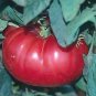 Tomato Watermelon Beefsteak 250 seeds