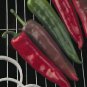 Pepper Hot Griller 250 seeds