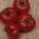 Tomato Cuostralee 250 seeds