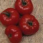 Tomato Cuostralee 250 seeds