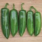 Pepper Tricked You 100 seeds
