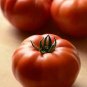 Tomato Genuwine 100 seeds