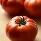 Tomato Genuwine 100 seeds