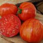 Tomato Solar Flare 100 seeds
