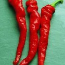 Pepper Hot Cayenne Long Red Thick 250 seeds