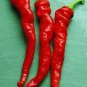 Pepper Hot Cayenne Long Red Thick 250 seeds