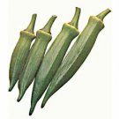 Okra Emerald 500 seeds