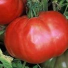 Tomato Omars-lebanese 250 seeds
