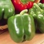 Pepper Fat and Sassy 100 seeds