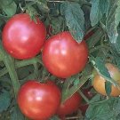 Tomato Eva Purple Ball 250 seeds