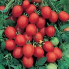 Tomato Plum Sugar 250 seeds