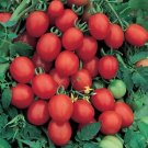 Tomato Plum Sugar 250 seeds