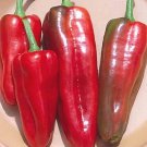 Pepper Marconi Italian Red 500 seeds