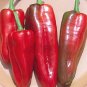 Pepper Marconi Italian Red 500 seeds
