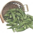 Okra Clemson Spineless 500 seeds
