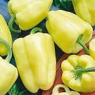 Pepper White Zinfandel 100 seeds