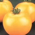 Tomato Lemon Boy 250 seeds