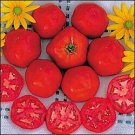 Tomato Druzba 250 seeds