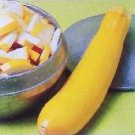 Squash Summer Seneca Prolific 100 seeds