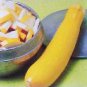 Squash Summer Seneca Prolific 100 seeds