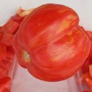 Tomato Striped Stuffer 250 seeds