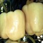 Pepper White Bell 250 seeds