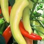 Pepper Hot Hungarian Hot Wax 500 seeds