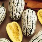 Squash Winter Bush Delicata 100 seeds