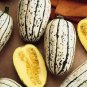 Squash Winter Bush Delicata 100 seeds