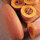 Squash Winter Pink Banana Jumbo 250 seeds