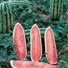 Watermelon Jubilee 250 seeds
