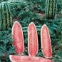 Watermelon Jubilee 250 seeds