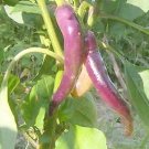 Pepper Hot Cayenne Purple 250 seeds