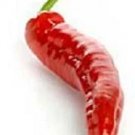 Pepper Hot Chilaca Mexican (Negro) 250 seeds