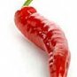 Pepper Hot Chilaca Mexican (Negro) 250 seeds